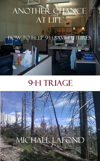 Another Chance at Life