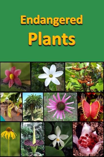 Endangered Plants