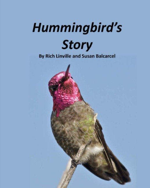 Hummingbird's Story