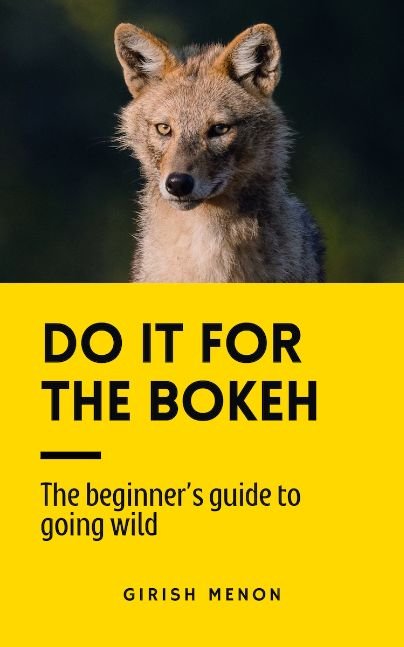 Do It for the Bokeh: The beginner’s guide to going wild