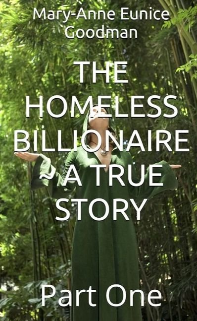 The Homeless Billionaire ~ A True Story ~ Part 1