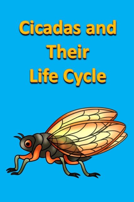 Cicadas and Their Life Cycle